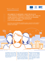 Mecanisme de transpunere a directivei 2010/41/UE a Parlamentului European şi a consiliului din 7 iulie 2010 privind aplicarea principiului egalităţii de tratament între bărbaţii şi femeile care desfăşoară o activitate independentă
