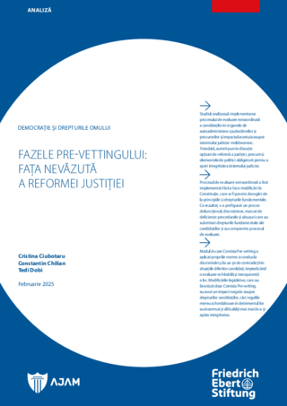 Fazele pre-vettingului